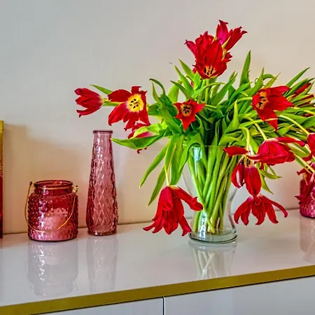 Luxury Penthouse Angelika C2 Z Sauna I Klimatyzacja - 5d Daire Świeradów-Zdrój